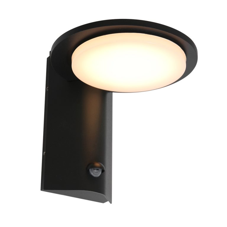 Steinhauer Luzon Buitenlamp wandlamp ingebouwd LED met dag en