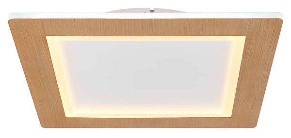 Globo Clay plafonniere – Ingebouwd (LED) – Wit