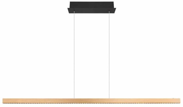 Globo Dentsy hanglamp – Ingebouwd (LED) – Zwart