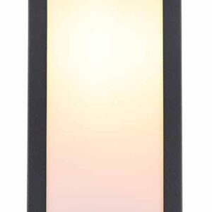 Globo Gundula wandlamp – E27 (grote fitting) – Zwart