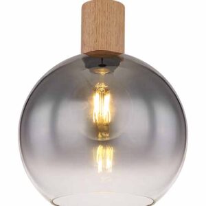 Globo Moitas hanglamp – ø 25 cm – E27 (grote fitting) – Zwart