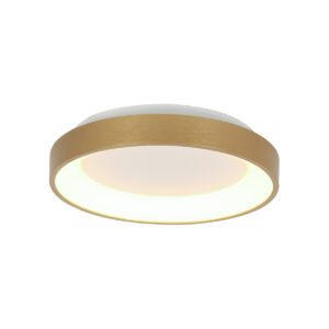 Steinhauer Ringlede plafonniere – ø 28 cm – Ingebouwd (LED) – Goud