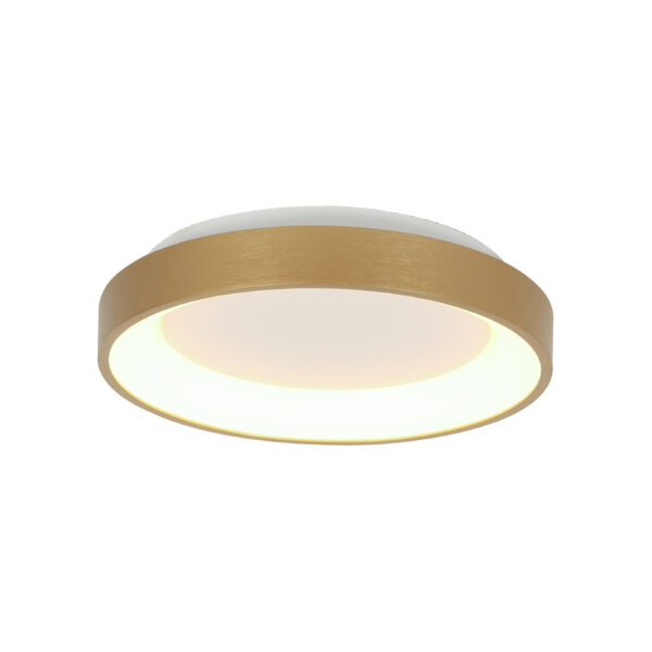 Steinhauer Ringlede plafonniere – ø 28 cm – Ingebouwd (LED) – Goud