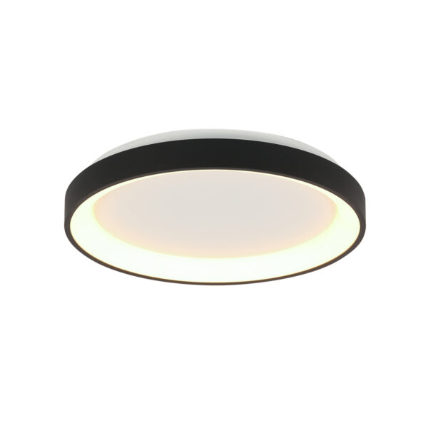 Steinhauer Ringlede plafonniere – ø 28 cm – Ingebouwd (LED) – Zwart