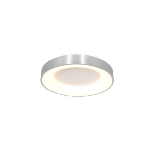 Steinhauer Ringlede plafonniere – ø 30 cm – Ingebouwd (LED) – Zilver