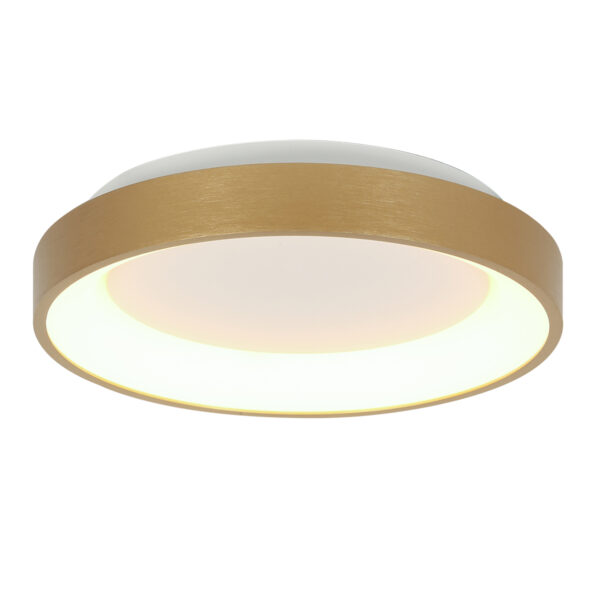 Steinhauer Ringlede plafonniere – ø 38 cm – Ingebouwd (LED) – Goud